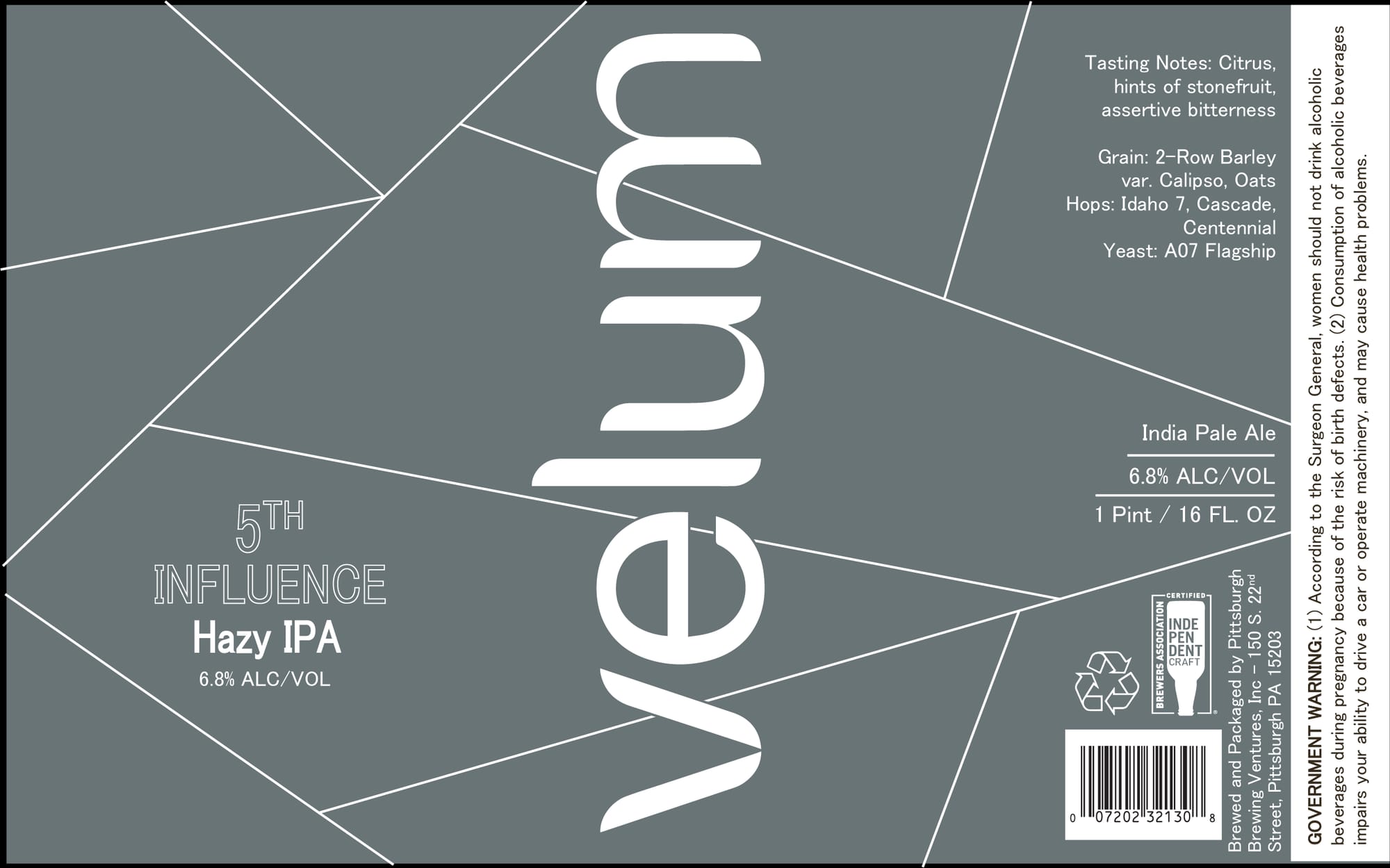 5th Influence by Velum - beer label