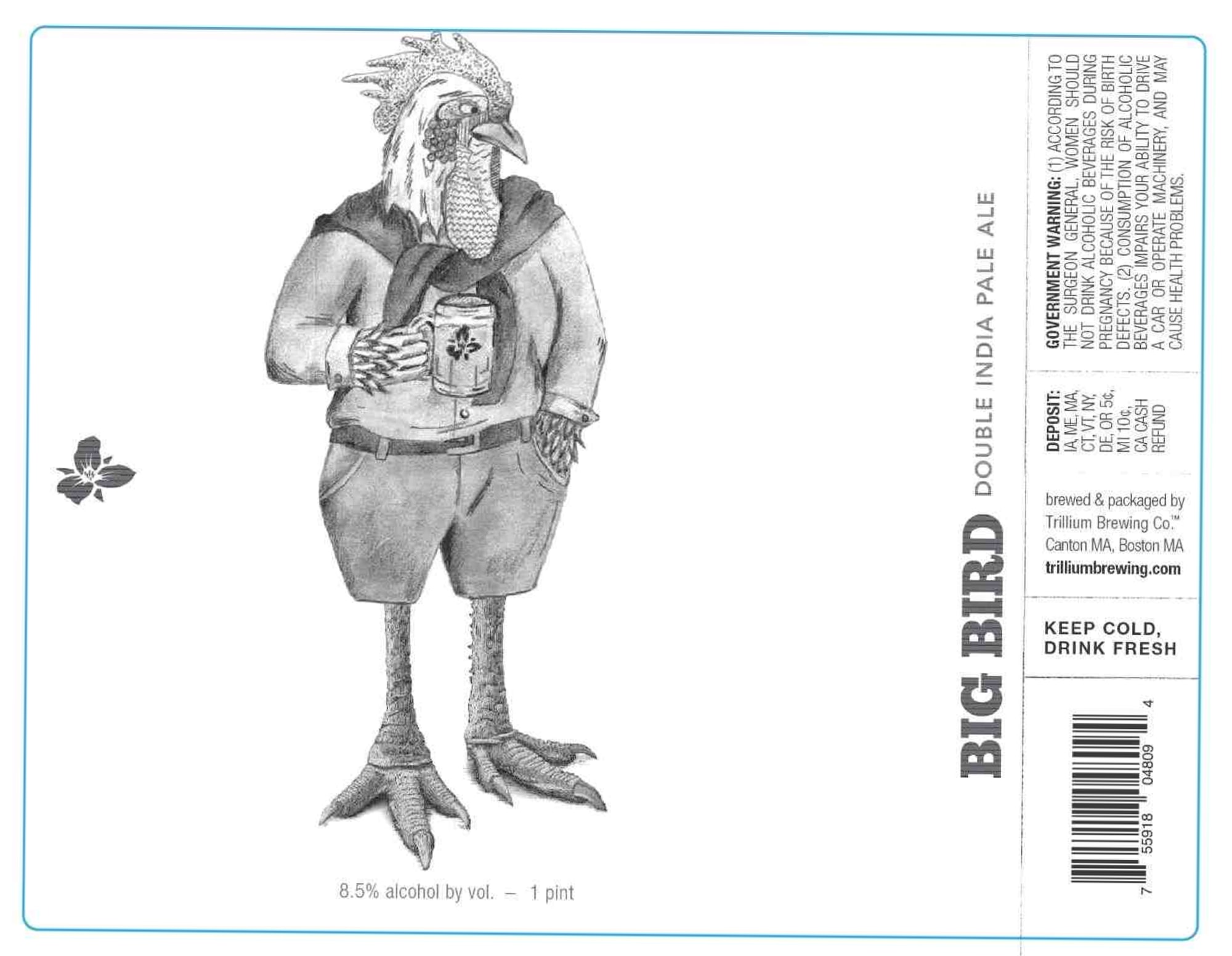 Big Bird by Trillium Brewing Co. - beer label
