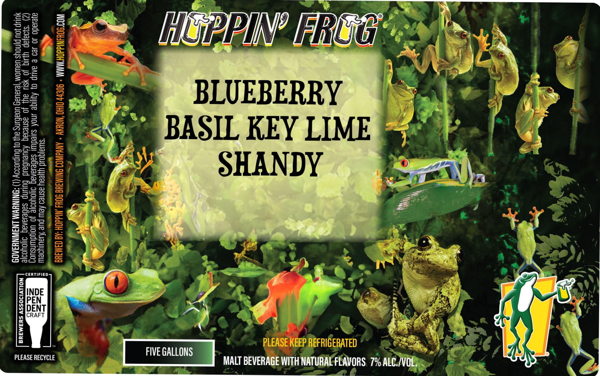 Blueberry Basil Key Lime Shandy by Hoppin’ Frog Brewing Company - beer label