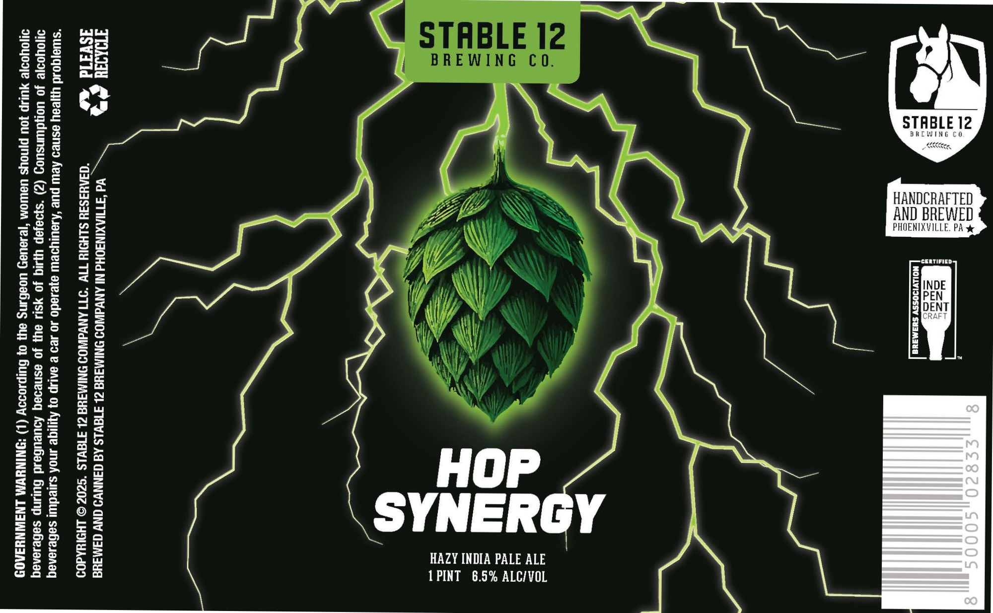 Hop Synergy by Stable 12 Brewing Co. - beer label