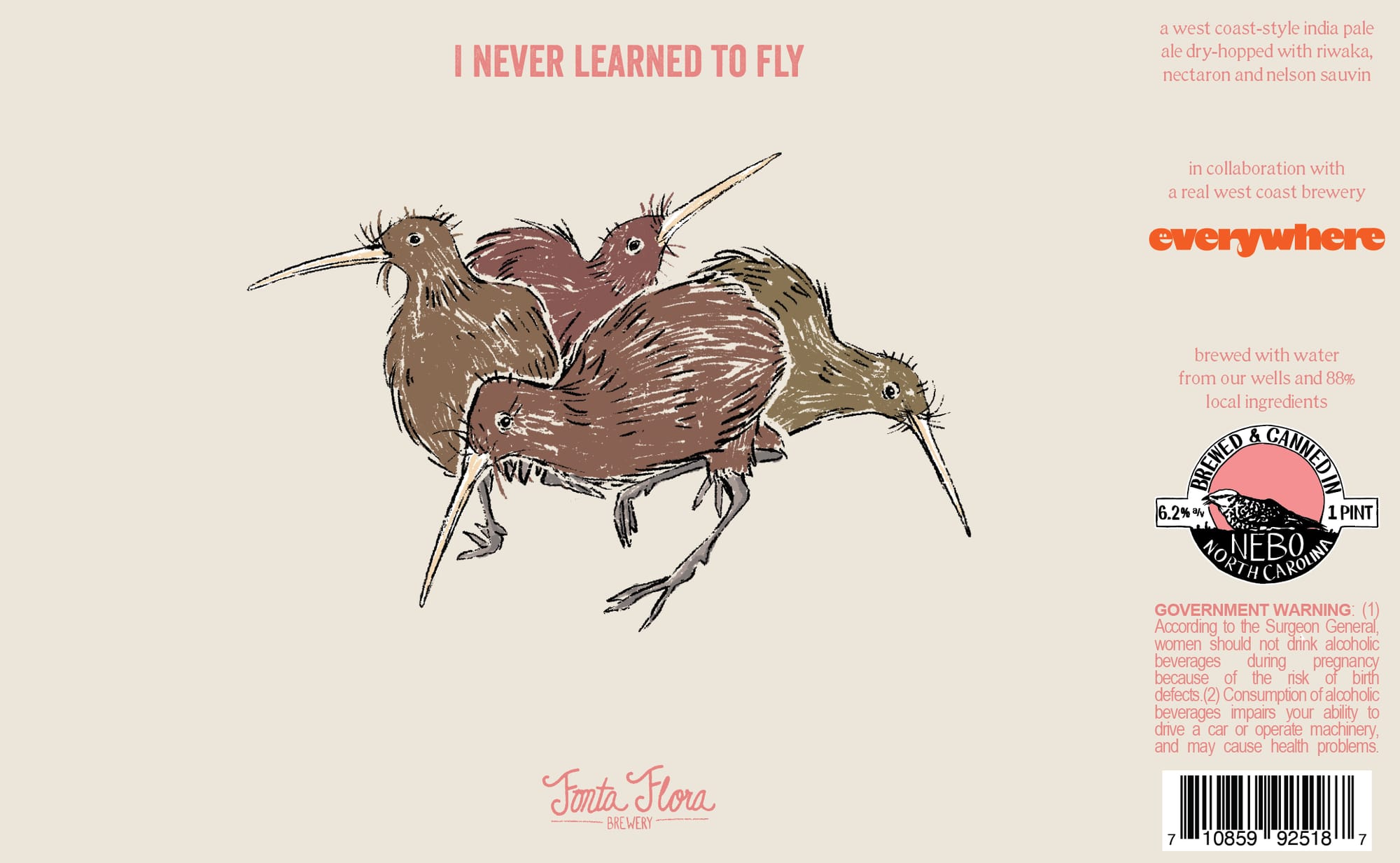 I Never Learned to Fly by Nebo North Carolina Brewery - beer label