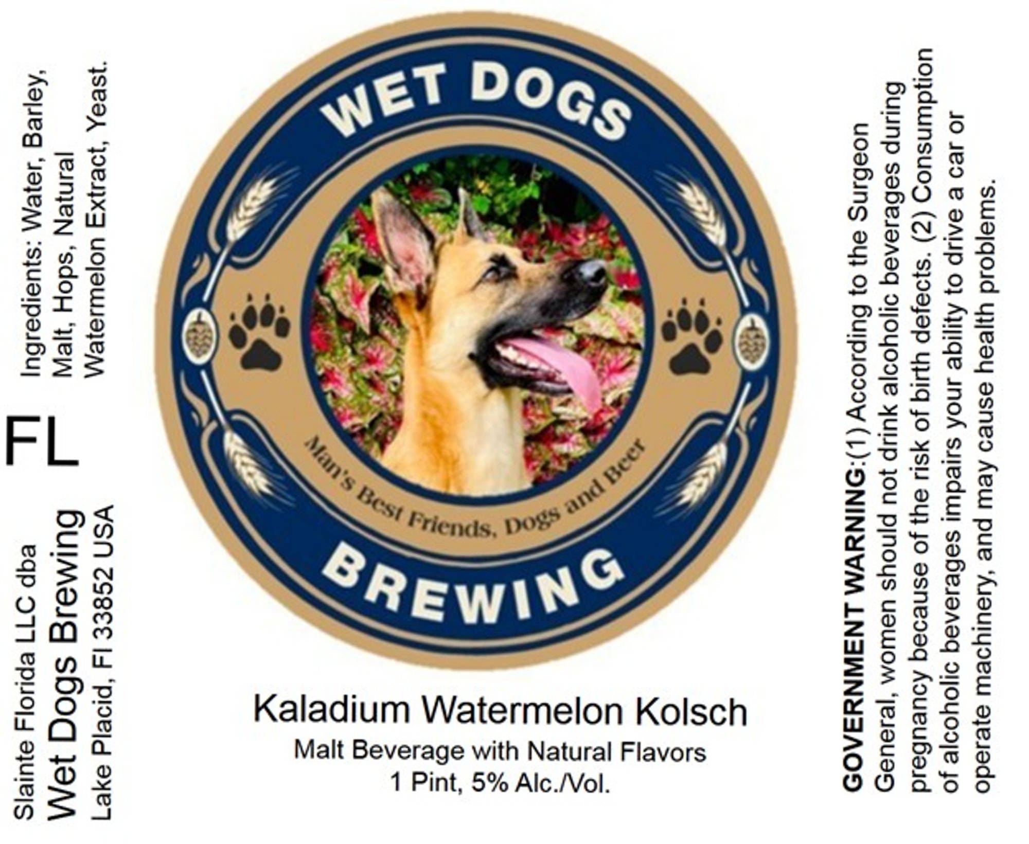Kaladium Watermelon Kolsch by Wet Dogs Brewing - beer label