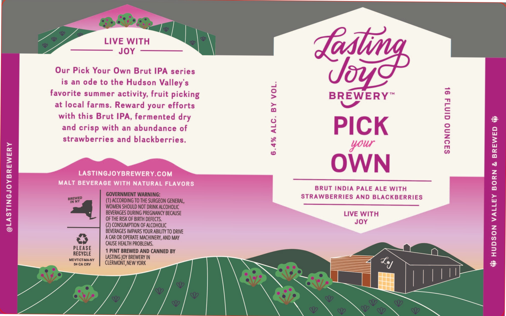 Pick Your Own by Lasting Joy Brewery - beer label
