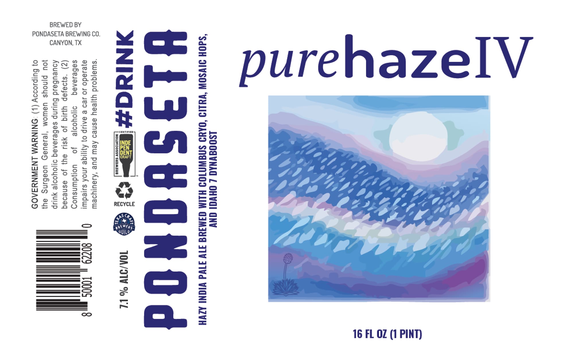 Pondaseta Beta by Pondaseta Brewing Co. - beer label