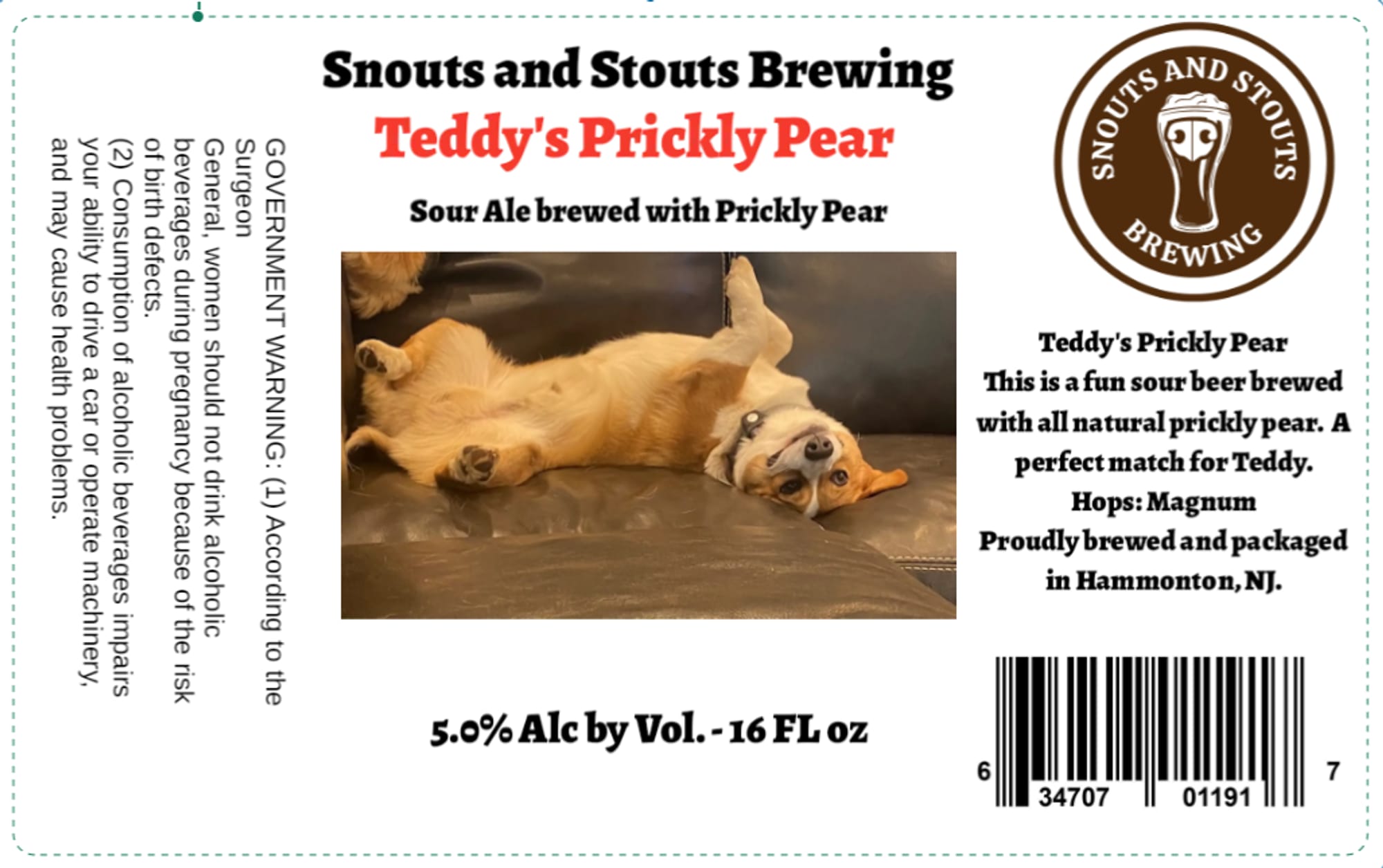 Teddy's Prickly Pear by Snouts and Stouts Brewing - beer label