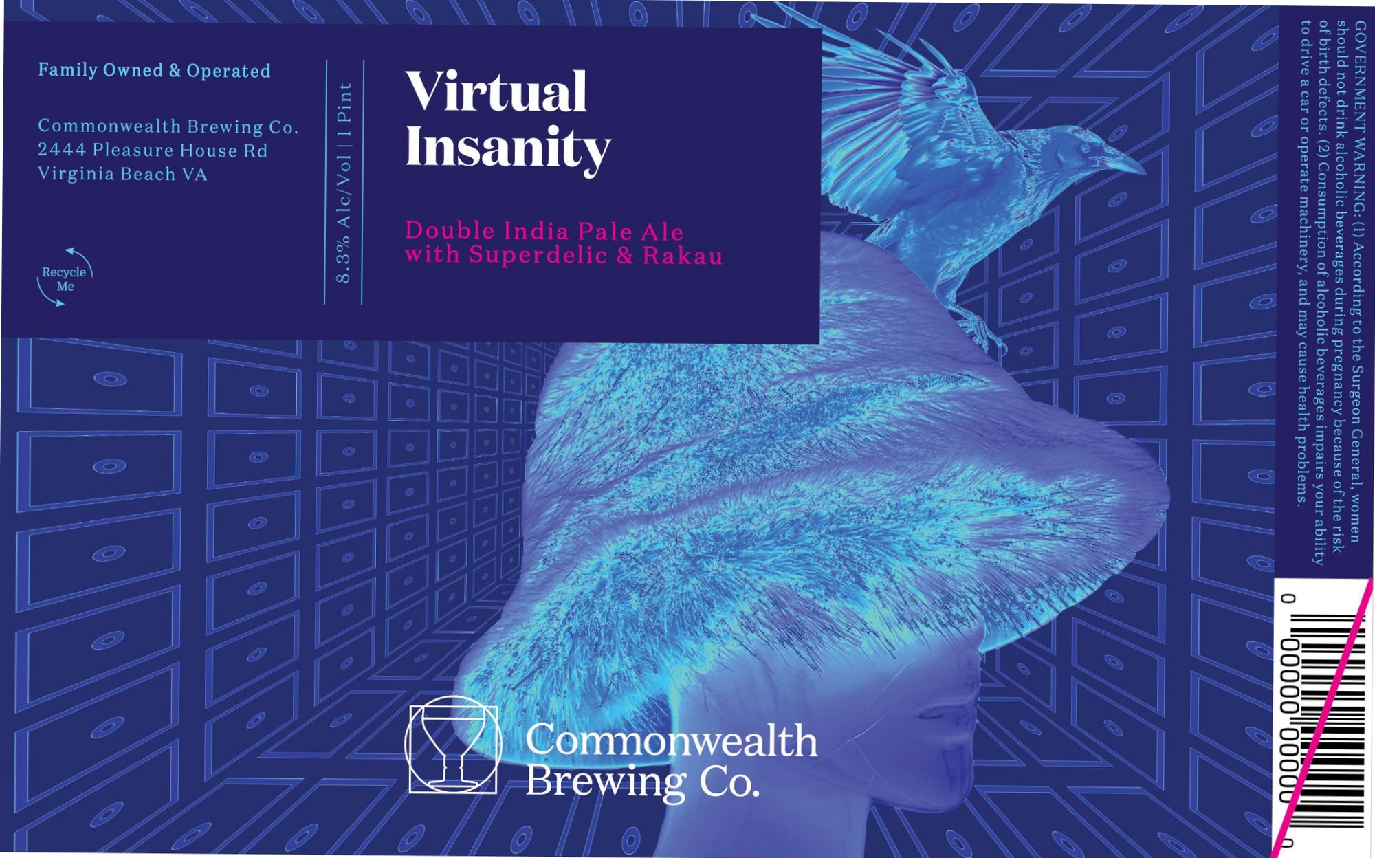 Virtual Insanity by Commonwealth Brewing Co. - beer label