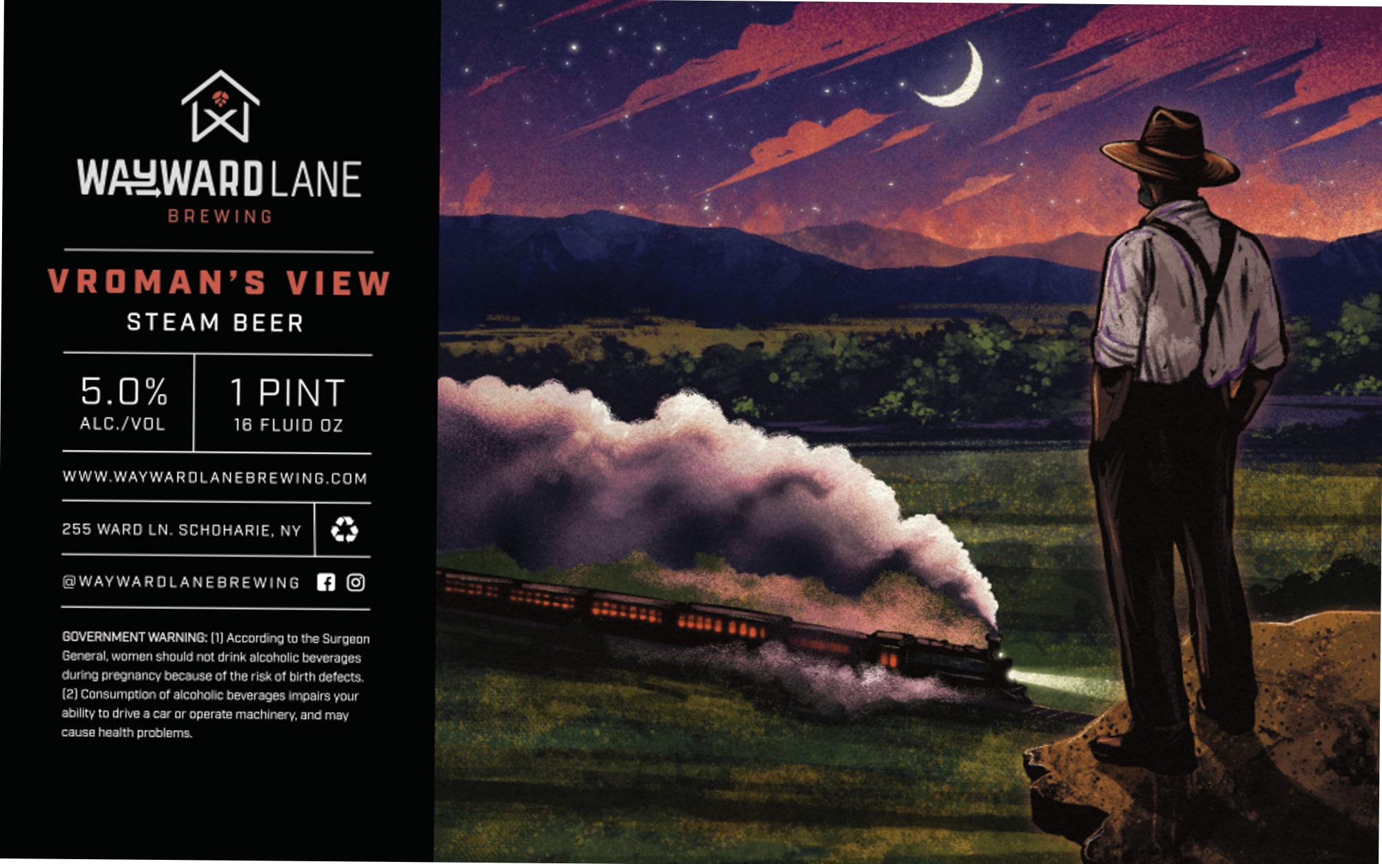 Vroman's View by Wayward Lane Brewing - beer label